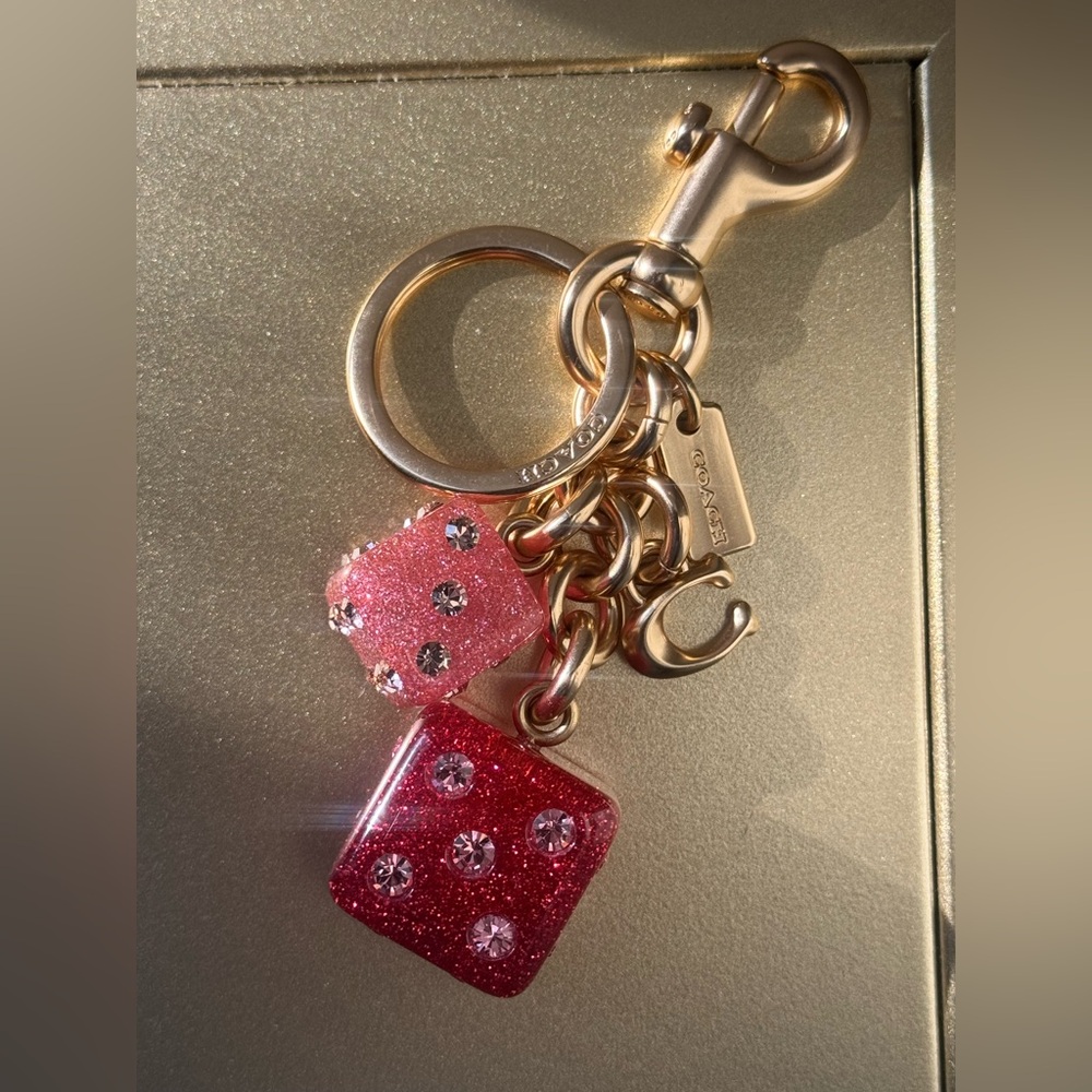 Coach Dice Cluster Bag Charm